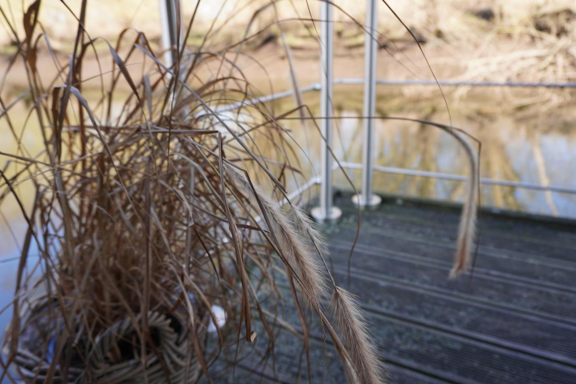Hausboot Stoeckte Winsen (Luhe) Exterior foto